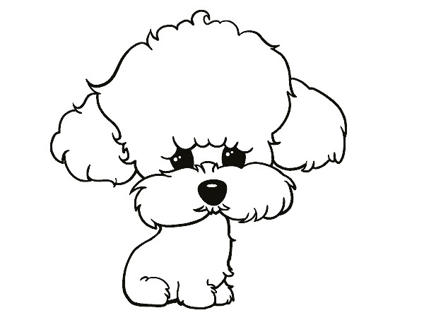 Dibujo Cachorro de poodle pintado por minny290
