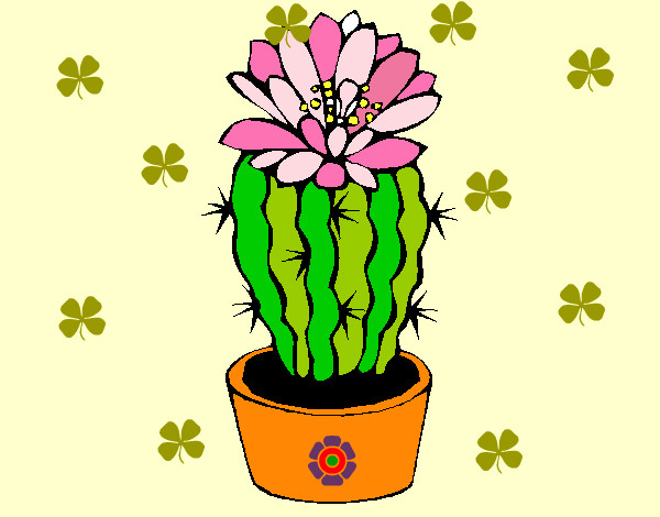 Dibujo Cactus con flor pintado por Melisa