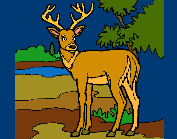 Dibujo Ciervo joven pintado por CamiiPier