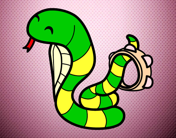 Dibujo Cobra con pandereta pintado por minny290