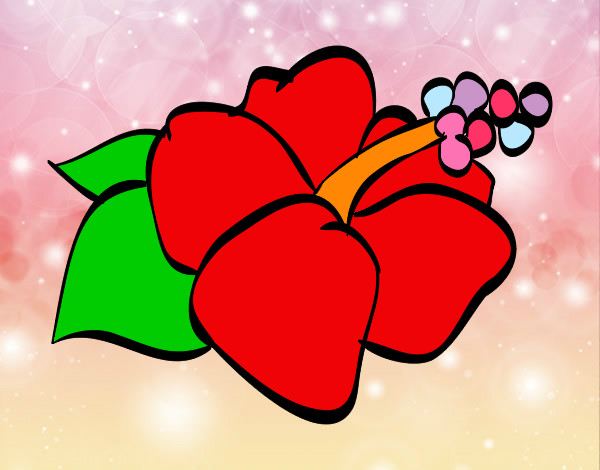 Dibujo Flor de lagunaria pintado por julistefi