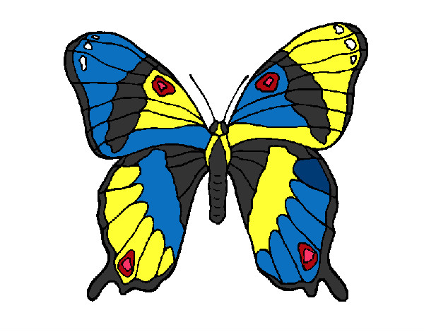 Dibujo Mariposa 7a pintado por lania