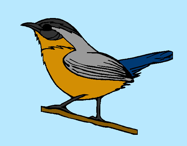 Dibujo Pájaro silvestre pintado por michele846