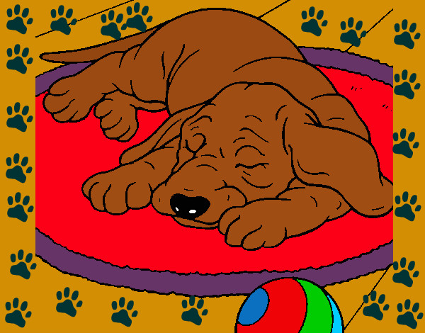 Dibujo Perro durmiendo pintado por tesera