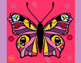 Dibujo Mariposa 20 pintado por Candy00003