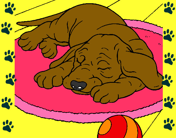 Dibujo Perro durmiendo pintado por arisale