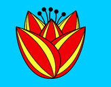 Dibujo Flor de tulipán pintado por ayaita