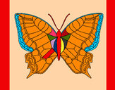 Dibujo Mariposa 16 pintado por lola14