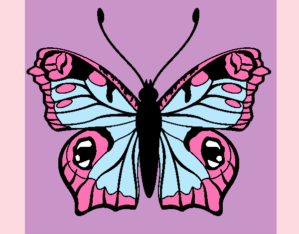 Dibujo Mariposa 20 pintado por taniaysele