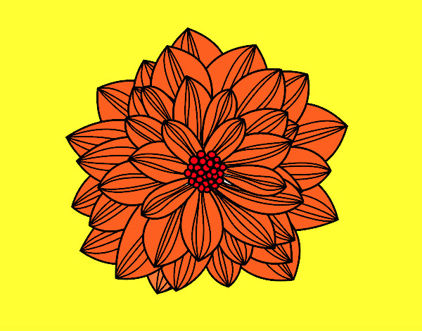 Flor de dalia