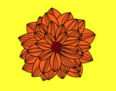 Dibujo Flor de dalia pintado por chiguiline