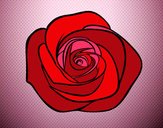 Dibujo Flor de rosa pintado por carlita11