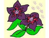 Dibujo Flores 3 pintado por marce93