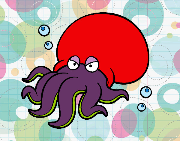 Dibujo Octopoda pintado por mercedesr