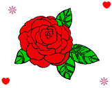 Dibujo Rosa 2 pintado por marcia7