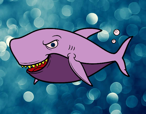 Dibujo Tiburón dentudo pintado por mercedesr