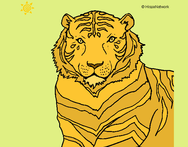 Dibujo Tigre 3 pintado por GLILY