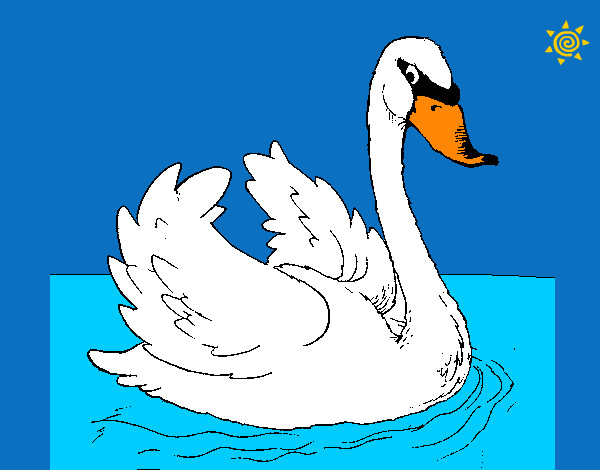 Dibujo Cisne en el agua pintado por amina555