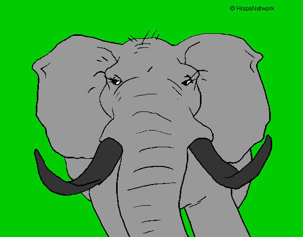 Dibujo Elefante africano pintado por jgojgjfdj