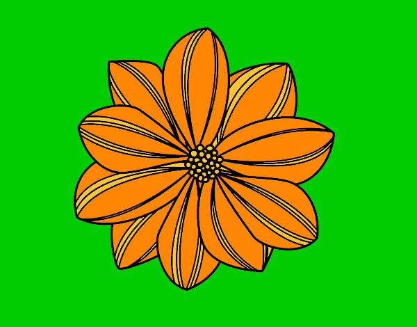 Flor de margarita