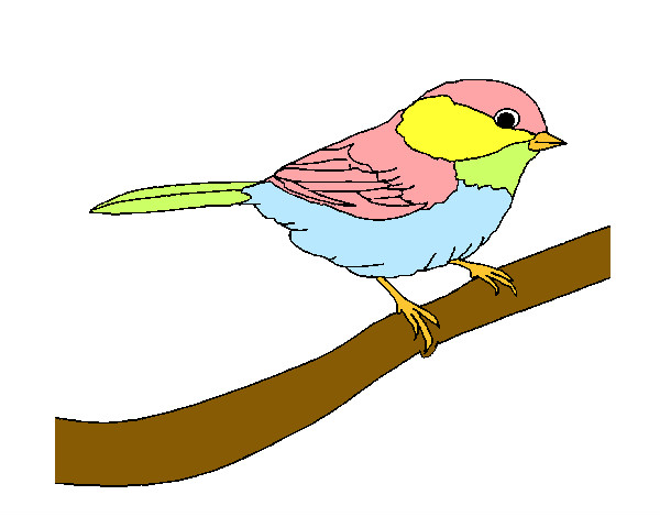 Dibujo Pájarito 1 pintado por Megara24