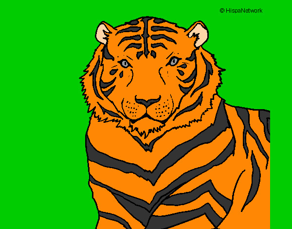 Dibujo Tigre 3 pintado por jgojgjfdj