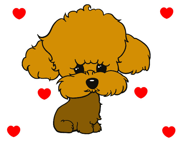 Dibujo Cachorro de poodle pintado por katymax