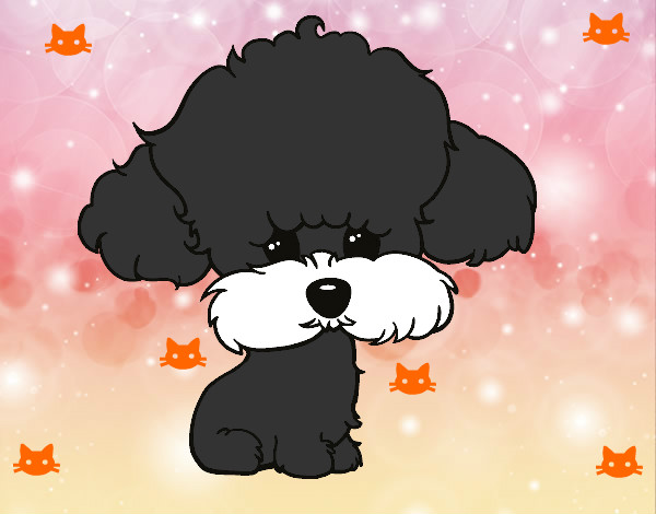 Dibujo Cachorro de poodle pintado por katymax