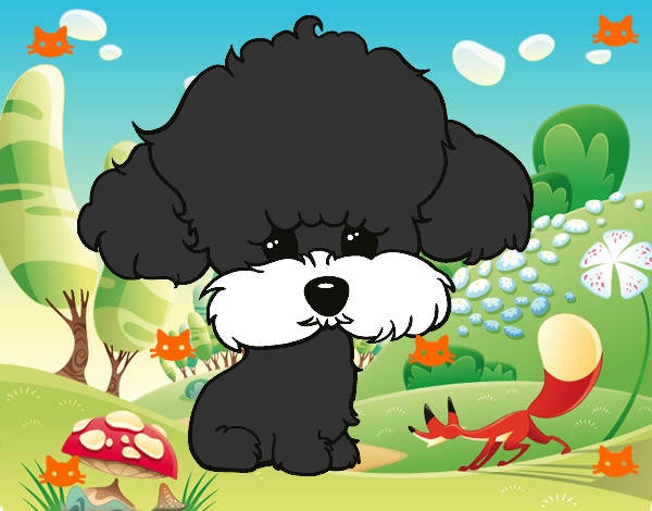 Dibujo Cachorro de poodle pintado por katymax