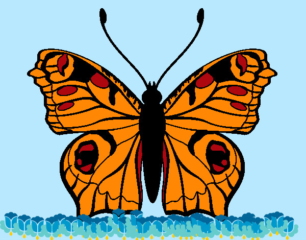 Dibujo Mariposa 20 pintado por poppy