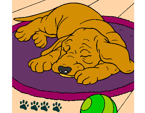 Dibujo Perro durmiendo pintado por anto-cata