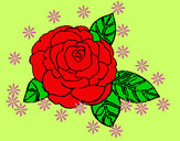 Dibujo Rosa 2 pintado por anabelen1