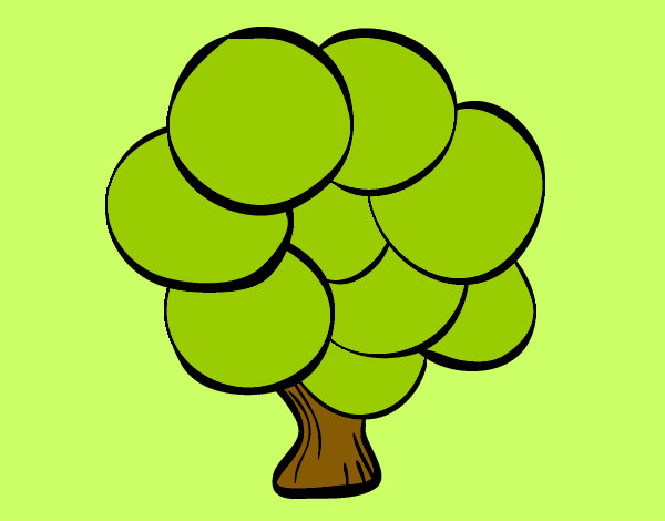 Árbol con hojas redondas