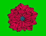 Dibujo Flor de dalia pintado por flora154