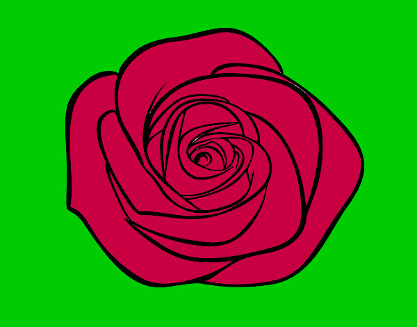 Dibujo Flor de rosa pintado por flora154