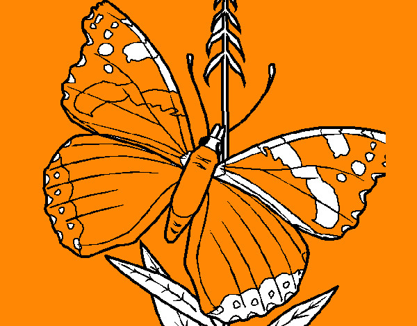 Dibujo Mariposa 5a pintado por SAMUEL14