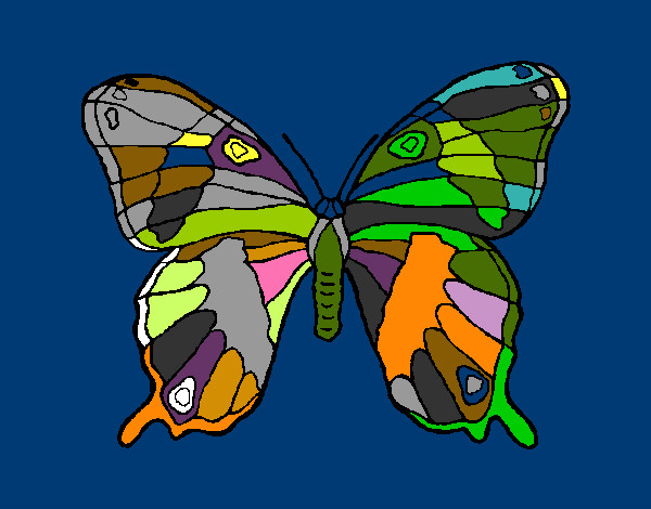 Dibujo Mariposa silvestre pintado por SAMUEL14