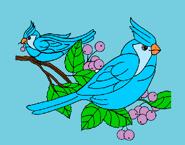 Dibujo Pájaros pintado por jacquiii