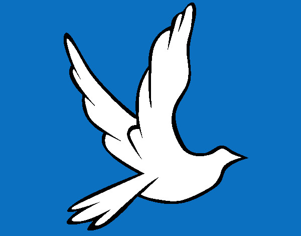 Simbolo de la paz Paloma Blanca
