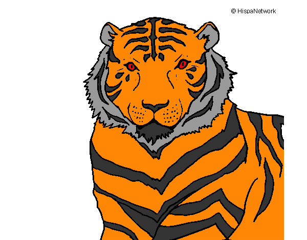 Dibujo Tigre 3 pintado por facumino