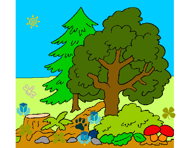 Dibujo Bosque 1 pintado por xolotl