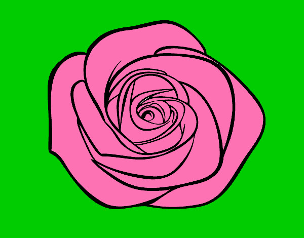 Dibujo Flor de rosa pintado por xanatl