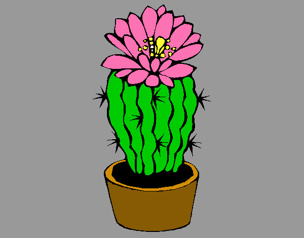 Dibujo Cactus con flor pintado por mariayoshu