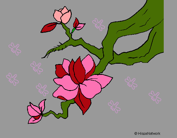 Dibujo Flor de almendro pintado por mariayoshu