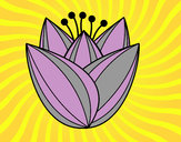 Dibujo Flor de tulipán pintado por mariayoshu