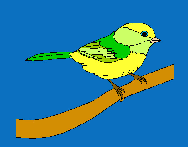 Dibujo Pájarito 1 pintado por mariayoshu