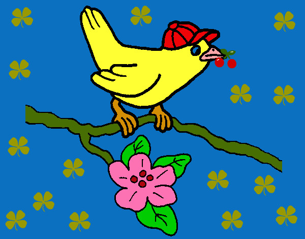 Dibujo Pájaro 1 pintado por mariayoshu