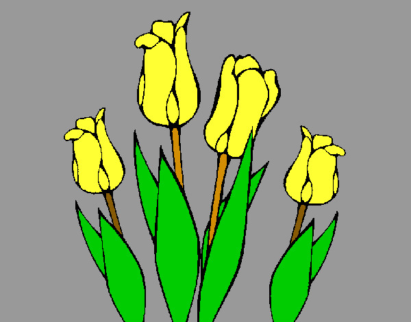 Dibujo Tulipanes pintado por mariayoshu