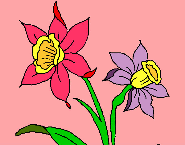 Dibujo Orquídea pintado por Miaaa