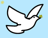 Dibujo Paloma de la paz pintado por valuchi1D